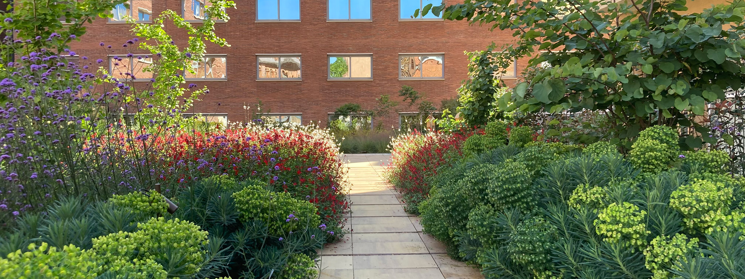 Jardineria Fornt - Disseny i realització de patis i jardins