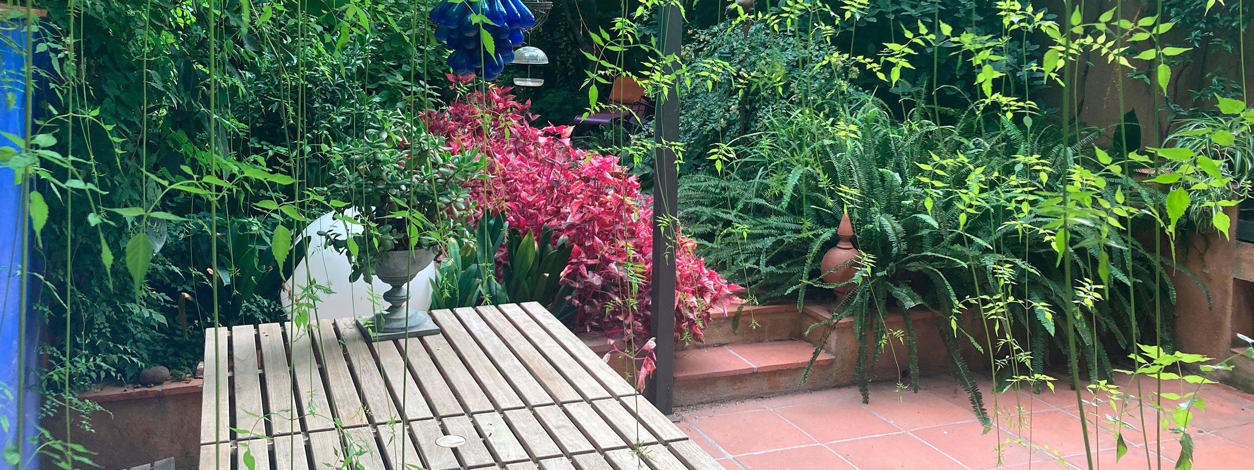 Jardineria Fornt - Disseny i realització de patis i jardins